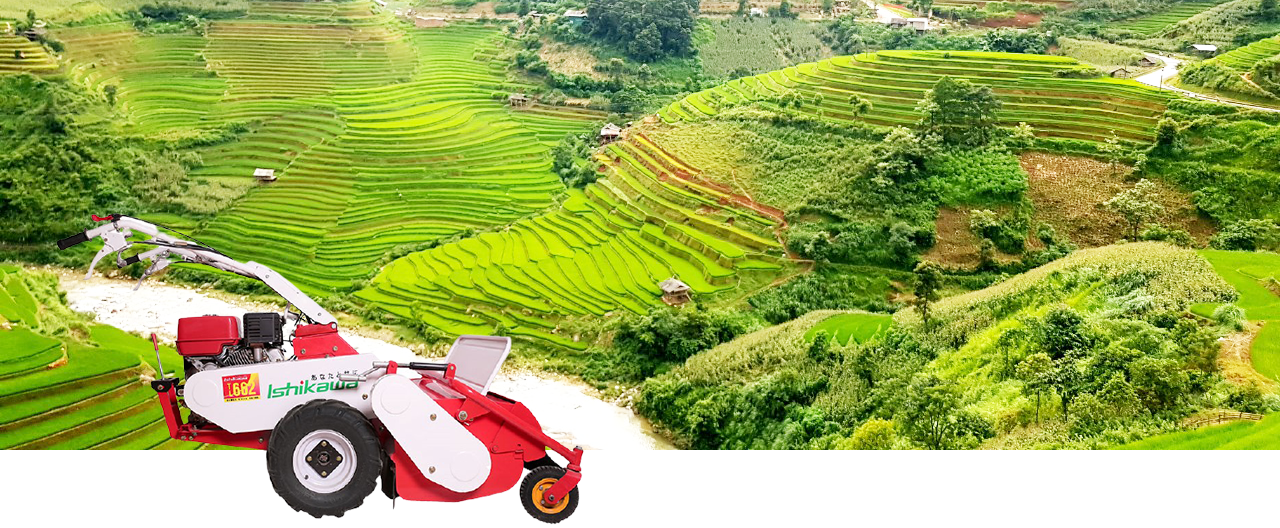 Máy làm cỏ Model 662